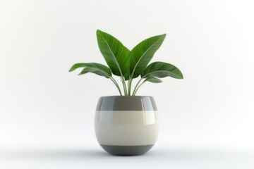 A 3D-rendered image of a ceramic pot with a houseplant inside, isolated on a white background to showcase the plantâ€™s form and texture.
