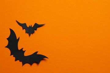 Black bats on a color background. Halloween concept