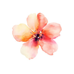 Naklejka premium Watercolor illustration. One pink spring flower isolated on white background. Sakura, cherry flower. Aquarelle sketch. Blurred paint. 