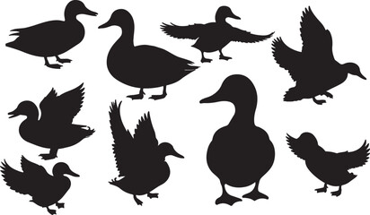 Mallard Silhouettes