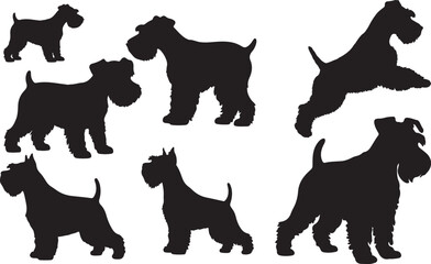 Miniature Schnauzer Silhouette