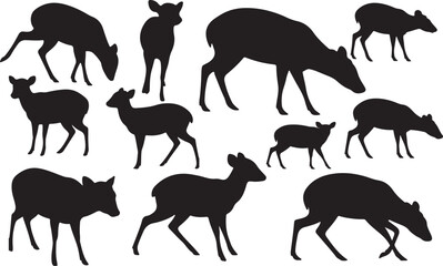 Muntjac Deer Silhouettes