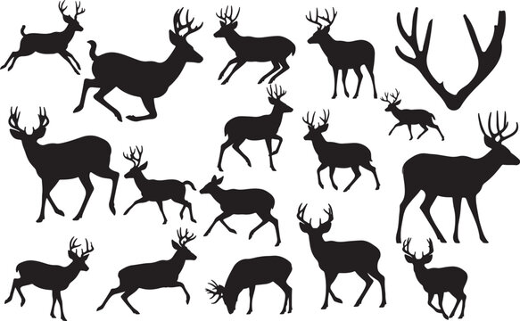 Mule Deer Silhouettes