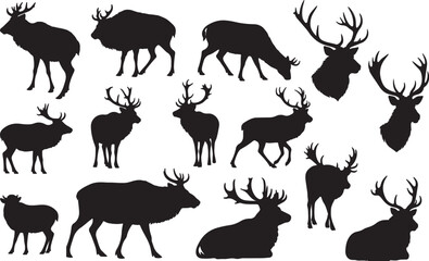 Musk Deer Silhouette