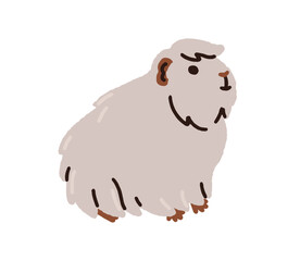 Cute guinea pig. Adorable fluffy rodent with shaggy coat. Furry hairy cuddly pet, tame cavy. Tiny small little companion animal. Flat graphic vector illustration isolated on white background