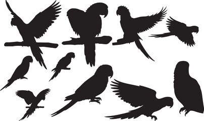 Obraz premium Parrot Silhouette on White Background