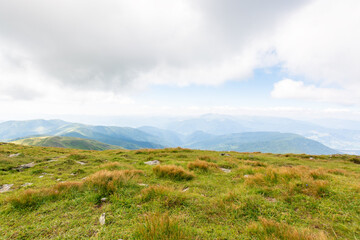nature landscape with alpine grassy meadow of mnt. petros in dappled light. carpathian mountain scenery of ukraine in summer. popular travel destination of transcarpathia. chornohora ridge