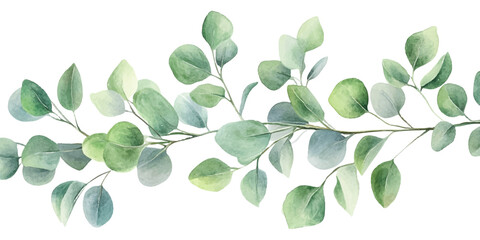 Obraz premium Watercolor painting of eucalyptus leaves on a white background