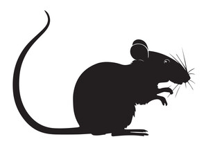 Rat vector Design
