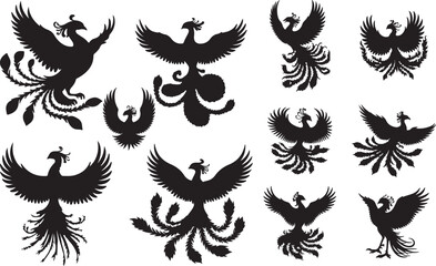 Phoenix Silhouette on White Background