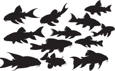 Plecostomus Silhouettes