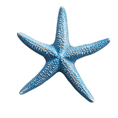 vibrant blue starfish with textured surface details, isolated on transparency background