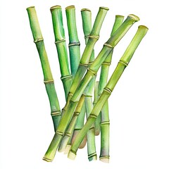 Fototapeta premium Watercolor Painting of Bamboo Stems on White Background Ideal for Asian themed Designs Zen inspired Projects and Nature focused Art