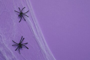 Halloween holiday decorations including cobwebs, spiders on a color background