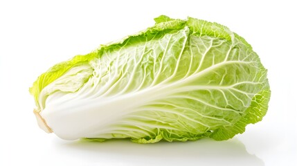Fresh Green Napa Cabbage Isolated on White Background for Culinary Use