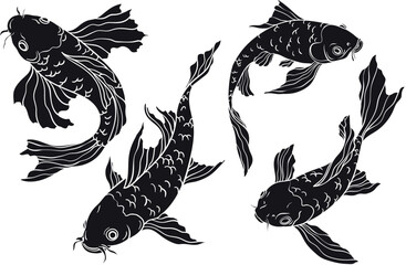 Fototapeta premium silhouette of Golden Koi carp on white background, Chinese new year.