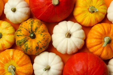 Beautiful autumn composition with pumpkins on a color background, top view