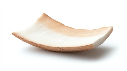 Close-up of a coconut shell piece on a white background, showcasing its natural texture and color.