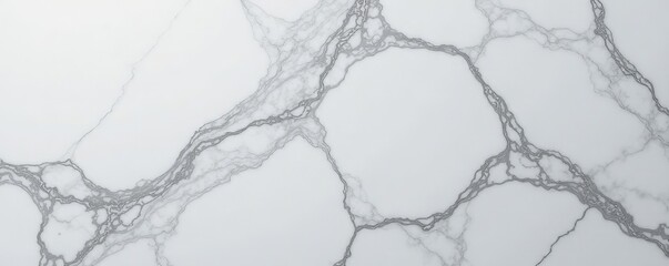 Fototapeta premium Minimalist gray marble texture with delicate veins, elegant, design