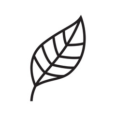 Leaves icon design isolated on white background.