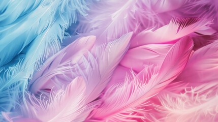 Obraz premium Soft pastel feathers in blue and pink shades creating a dreamy texture