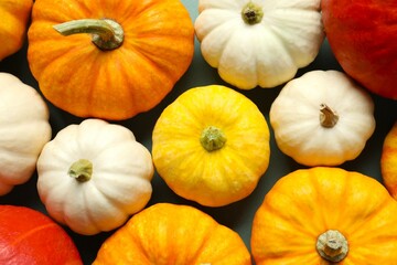 Beautiful autumn composition with pumpkins, top view