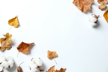 Various autumn leaves on white background