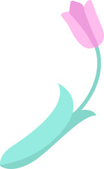 Hand Drawn Tulip Flower