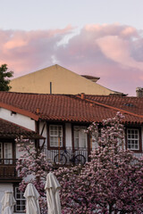 houses in the city of lisbon