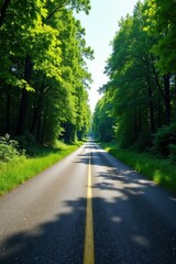 Fototapeta premium A scenic asphalt road winds through a lush green forest canopy, bathed in sunlight, creating a picturesque and tranquil atmosphere