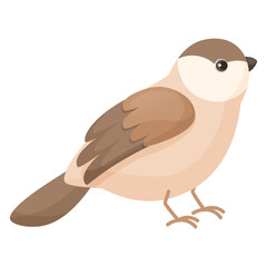 Cute brown bird on white background. Flat cartoon character design. Bird icon, budgie, sparrow, canary. Vector illustration isolated on white background.