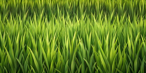 Naklejka premium Lush green grass texture showcasing vibrant blades illuminated by sunlight during a clear day wallpaper, background, texture detailed, green grass, summer