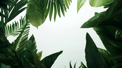Lush Green Tropical Leaves Frame White Background