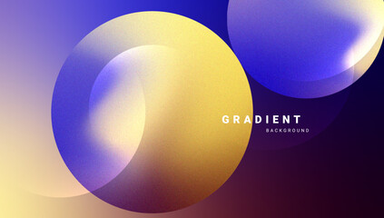 Modern fluid gradient design with abstract circular shapes. Vector.