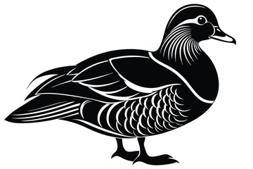 black and white Mandarin duck silhouette Wood duck Bird vector