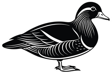 Wood duck silhouette Mandarin duck Bird vector