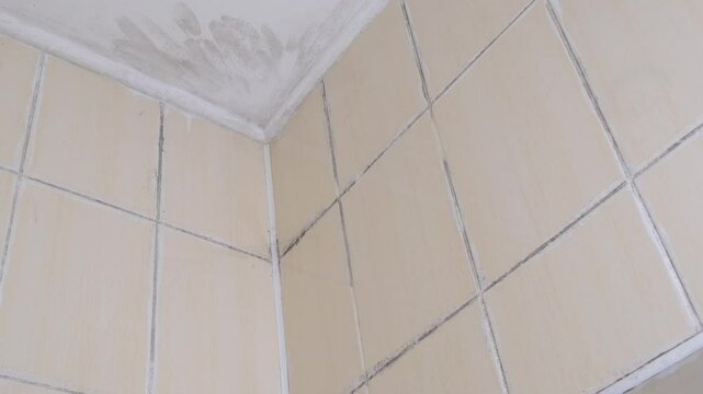The bathroom siennas are covered with mold from moisture and poor ventilation, the seams between the tiles are damaged by black mold