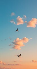 Fototapeta premium Seagulls Flying in a Dreamy Pastel Sky During a Warm Sunset