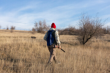 Mature hunter man holding a shotgun and walking through a field