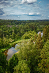 The beauty of Lithuania’s nature captured from the Anyksciai observation tower, with dense forests stretching toward the horizon and a river weaving through