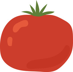 Hand drawn illustration of red tomato