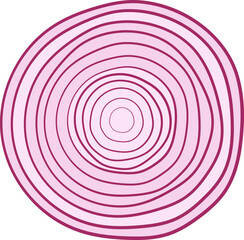 Hand drawn red onion illustration