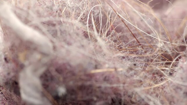 DIRTY DUST LINT EXTREME CLOSE UP STOCK FOOTAGE