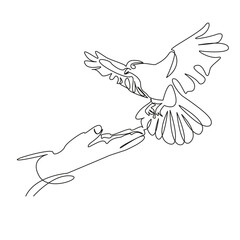 Obraz premium One continuous single drawing line art flat doodle freedom, bird, sky, hand, symbol, peace, dove, flying. Isolated image hand draw contour on a white background, hand drawn, not AI