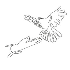 Obraz premium One continuous single drawing line art flat doodle freedom, bird, sky, hand, symbol, peace, dove, flying. Isolated image hand draw contour on a white background, hand drawn, not AI