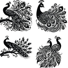 Peacock and rooster vector illustration with floral ornament and intricate swirl pattern design
