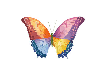 colorful butterflies individually or as a frame, spring awakening with butterflies