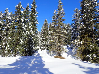 skitouring destination rauris valley in winter