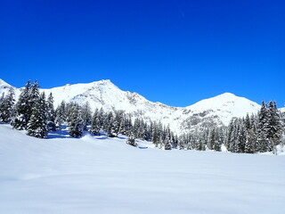 Fototapeta premium skitouring destination rauris valley in winter