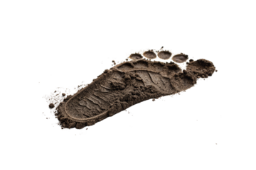 A detailed footprint in damp soil, showing an imprint of toes and textured sole pattern, surrounded by loose dirt and traces of moisture, isolated on a transparent background